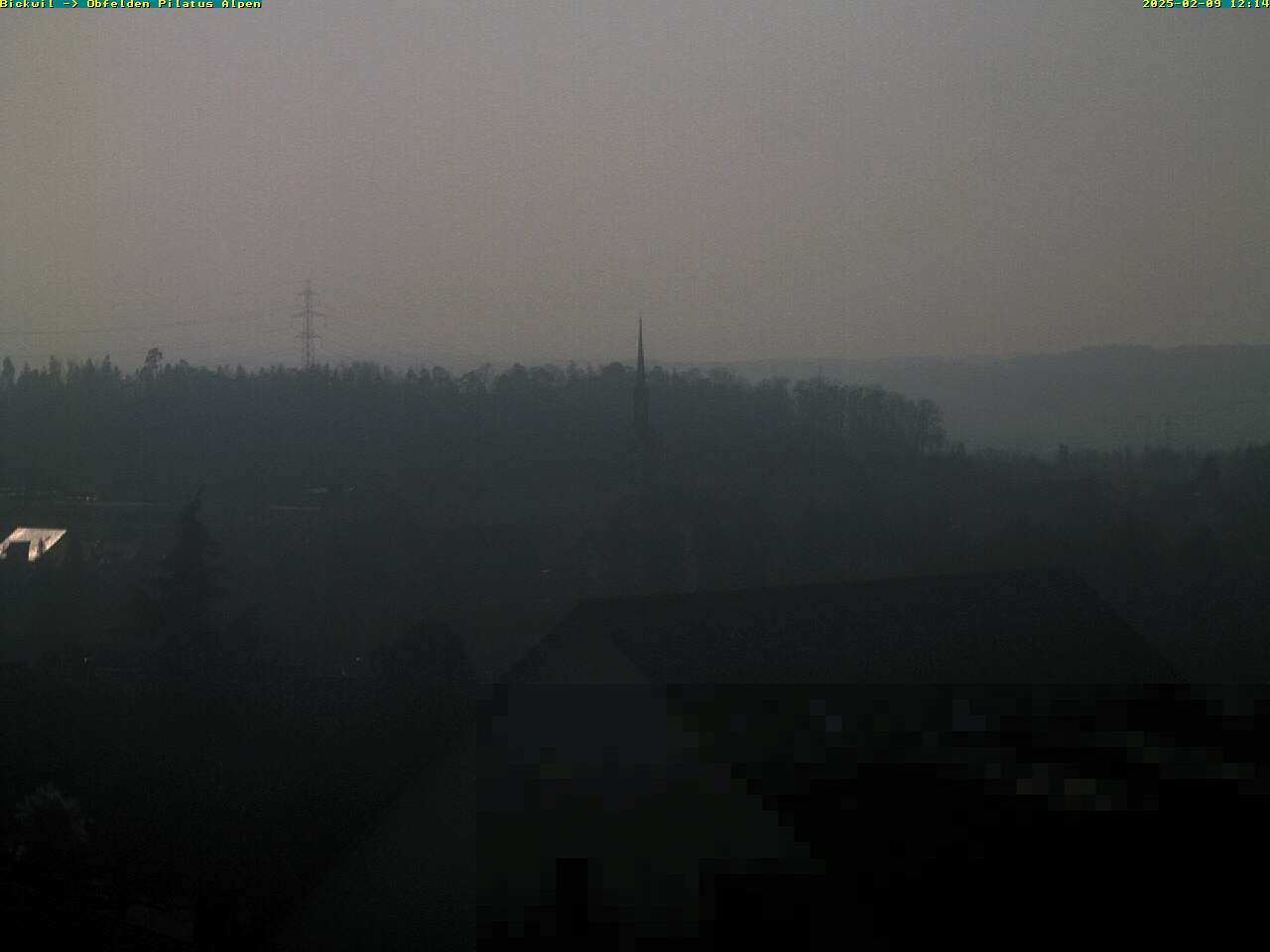 09.02.2025 12:14