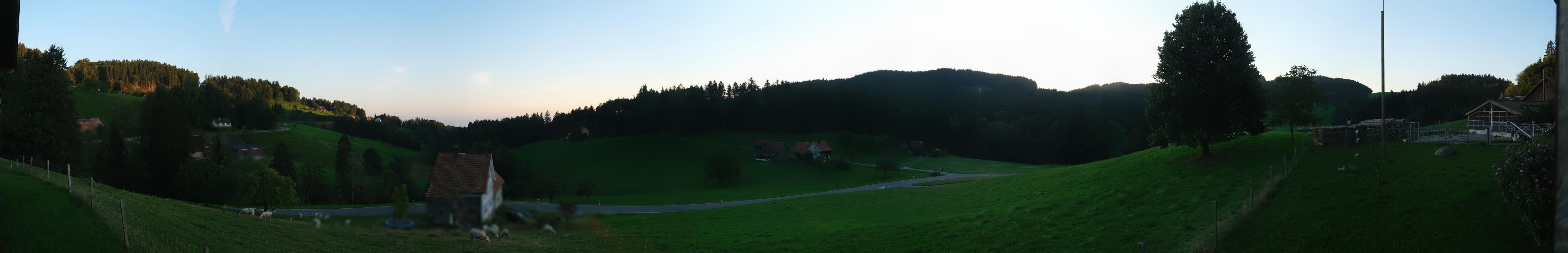 20h ago - 07:03