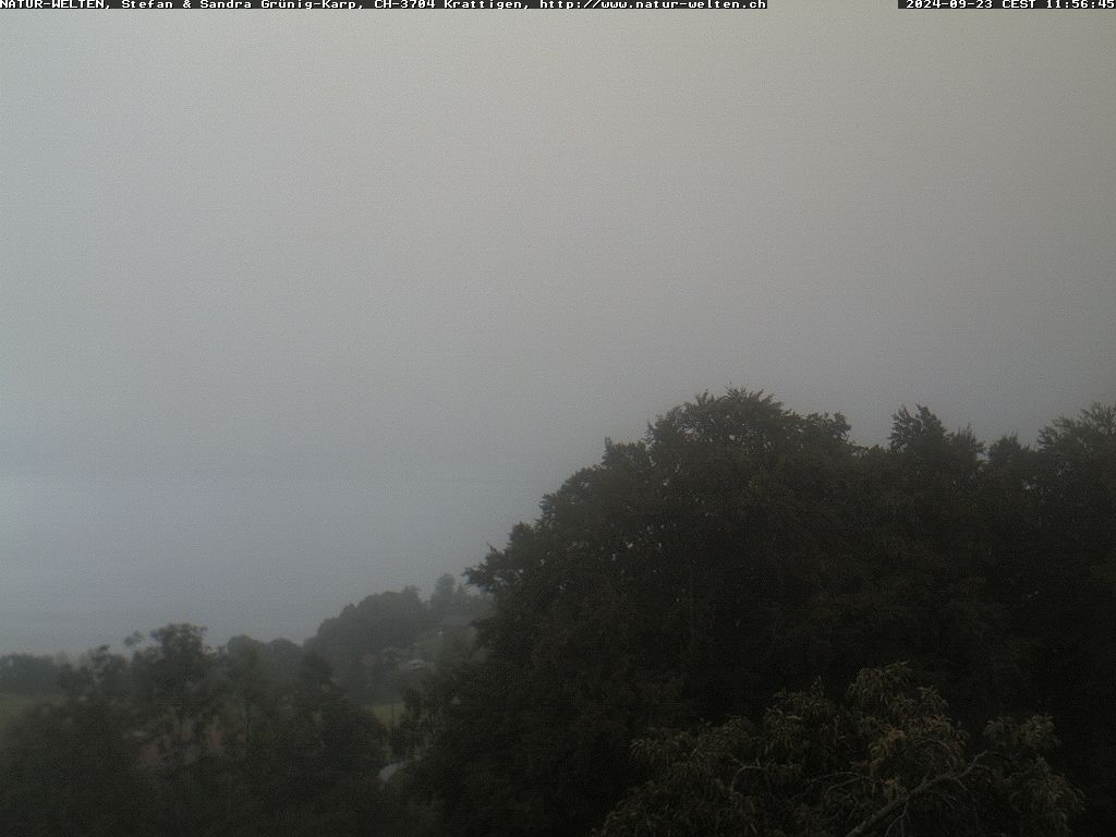 23.09.2024 12:00