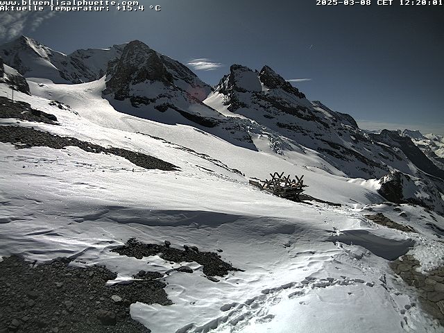 08.03.2025 12:32