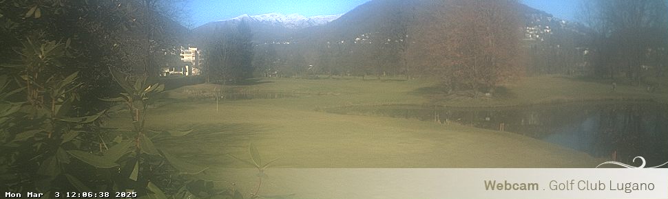 03.03.2025 12:06