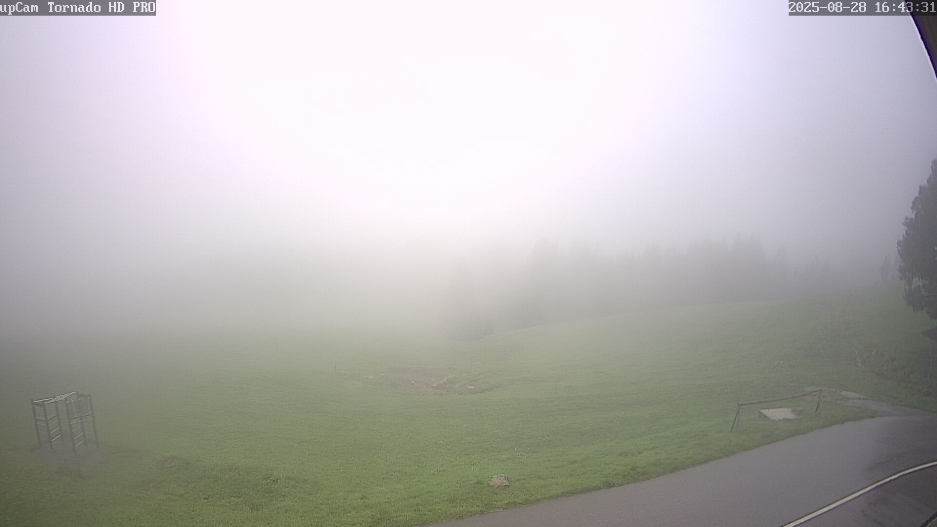 10h ago - 16:43