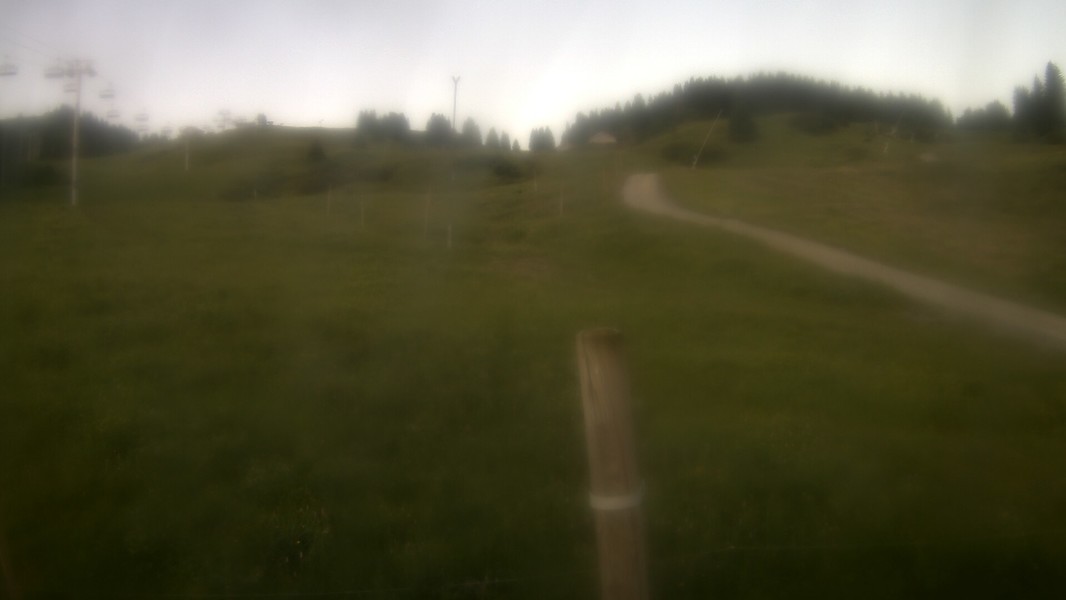 1h ago - 06:01