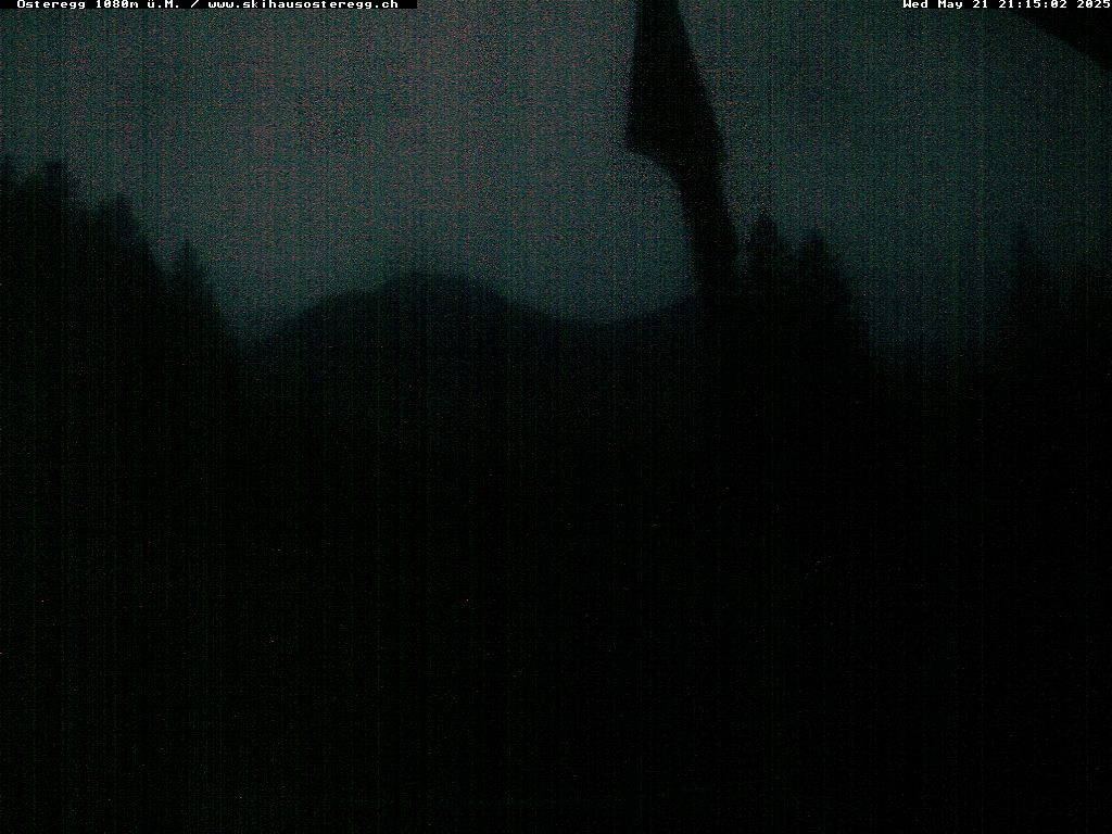 31h ago - 21:39