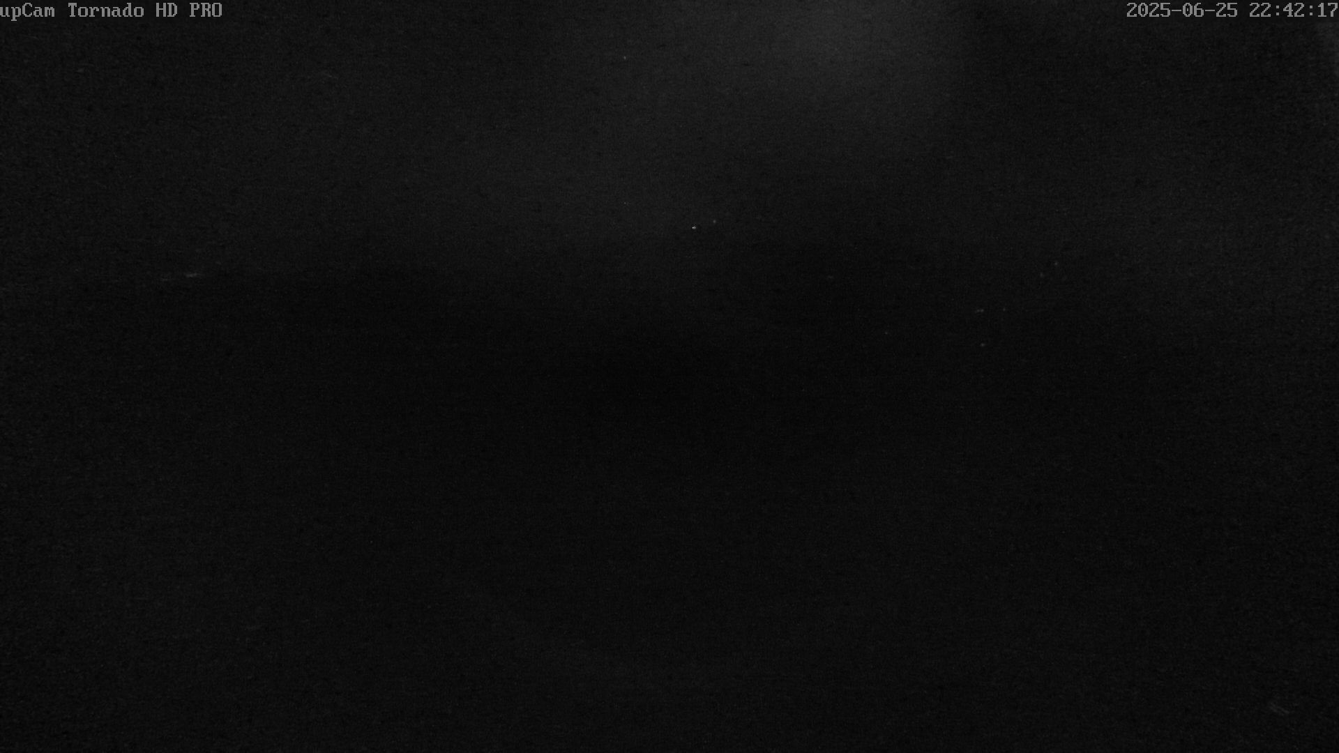 31h ago - 22:42