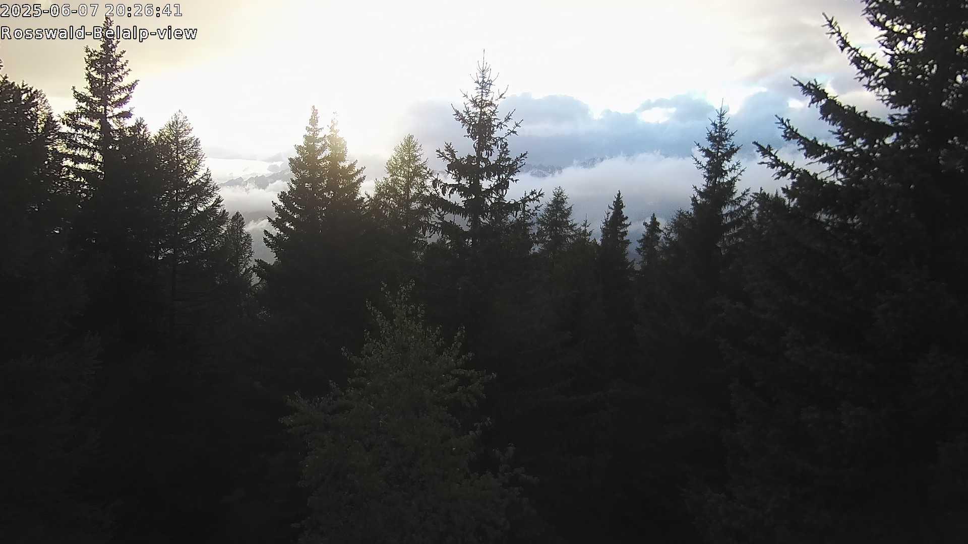 10h ago - 20:31