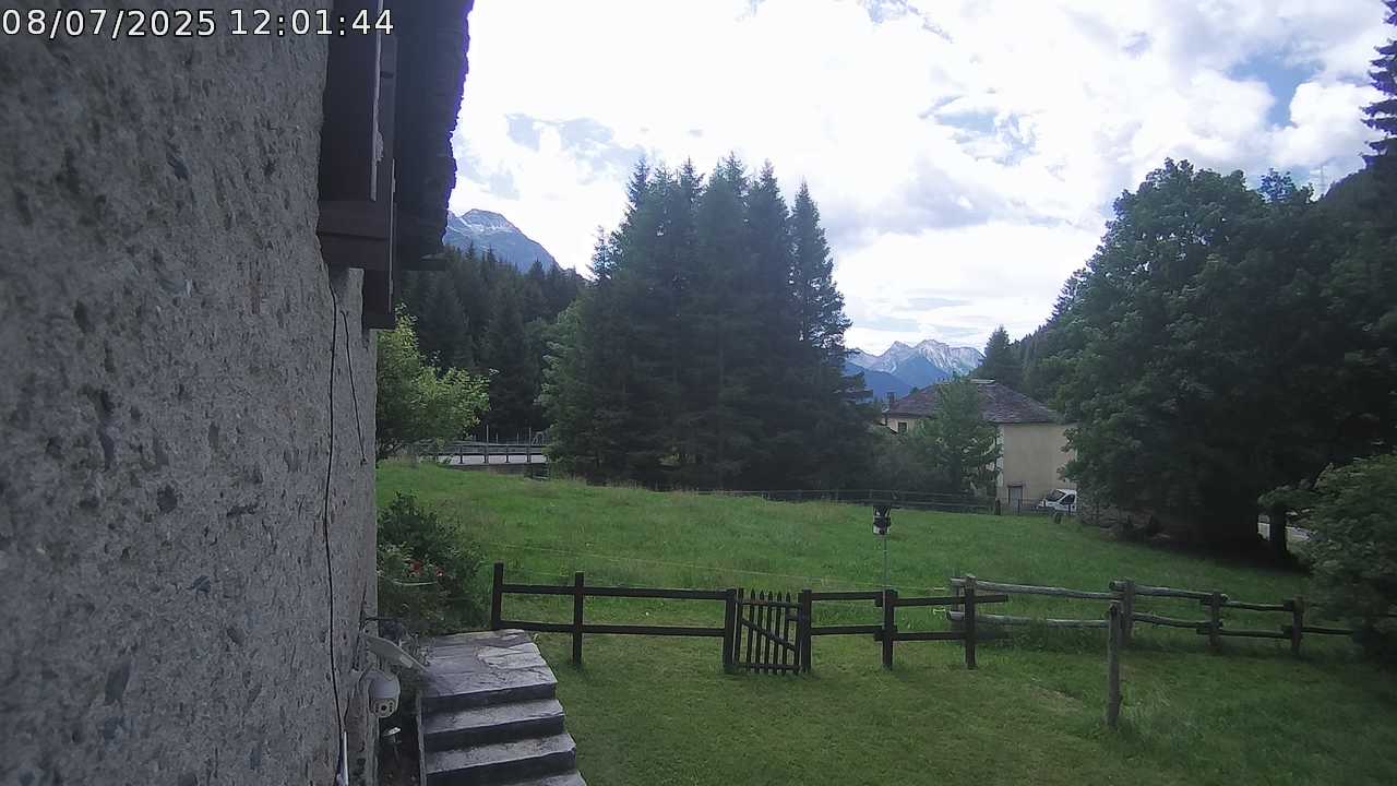 08.07.2025 12:01