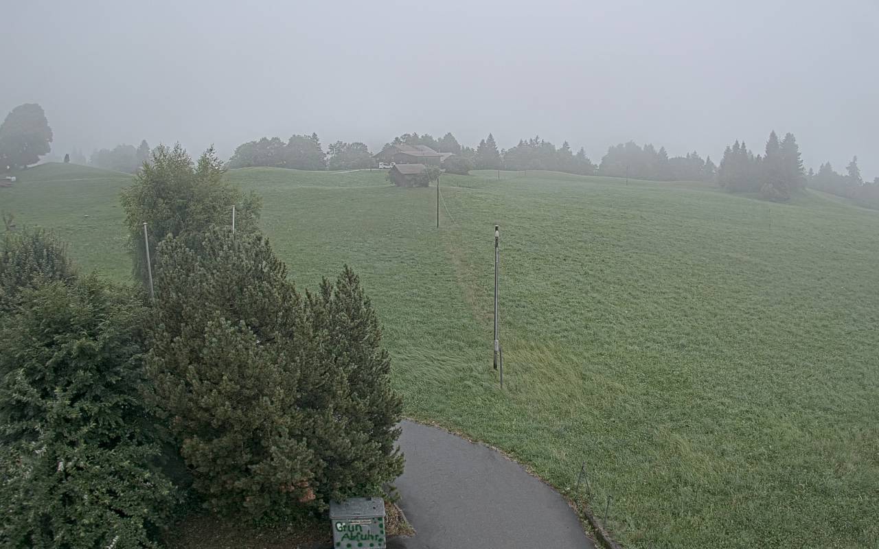 42h ago - 17:55