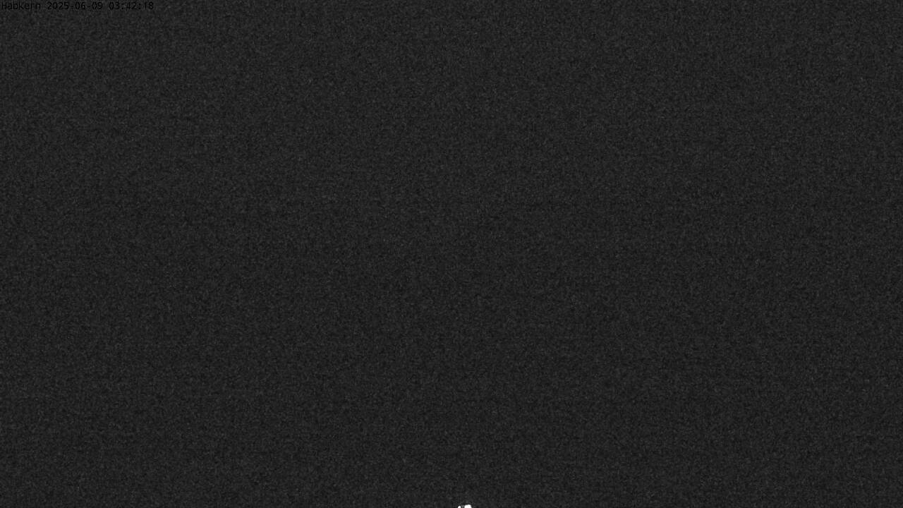 1h ago - 03:31