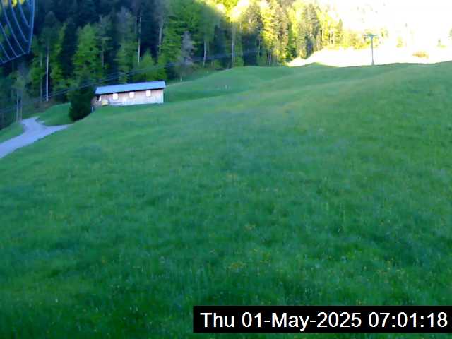3h ago - 07:01