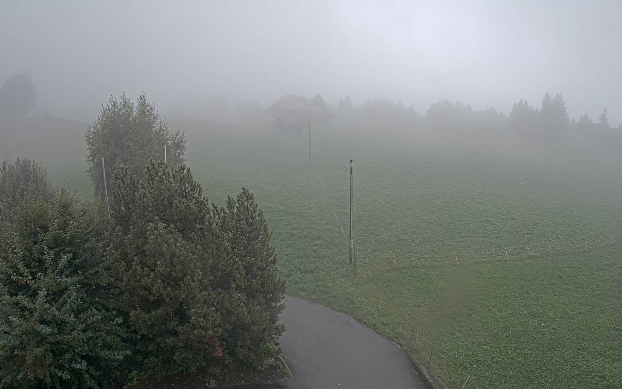 4h ago - 17:25