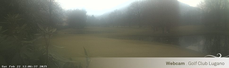 22.02.2025 12:06