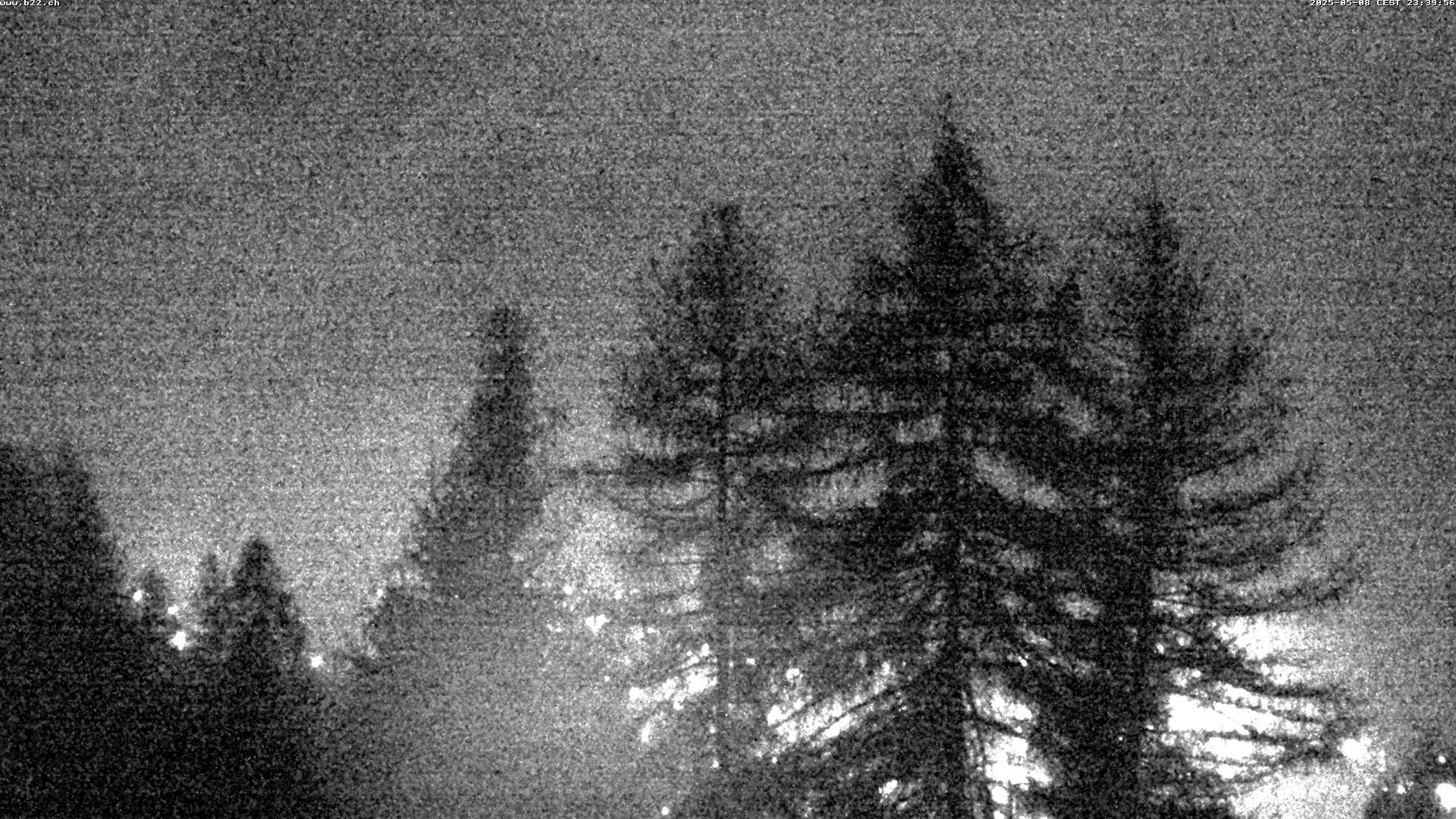 8h ago - 23:39