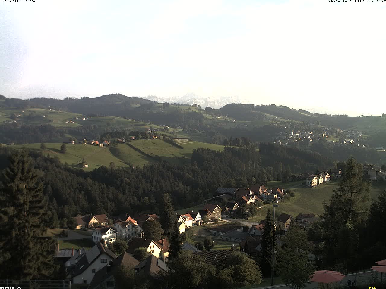 3h ago - 19:31