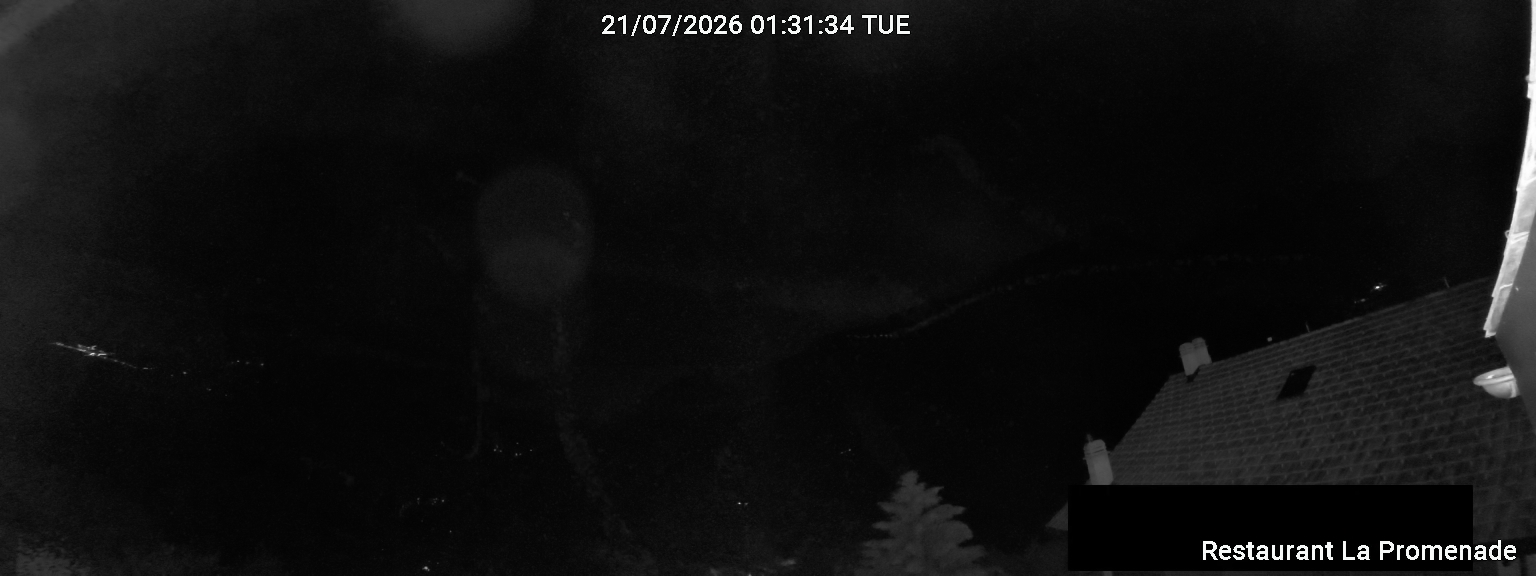 40h ago - 02:31