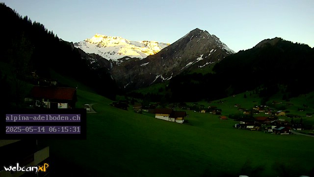 25h ago - 06:15