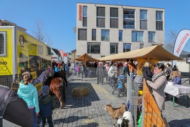 Ostermarkt, Raiffeisenplatz