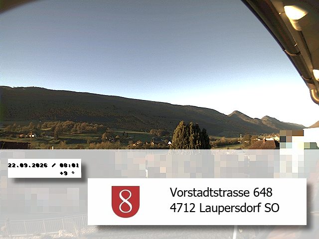 35h ago - 08:01