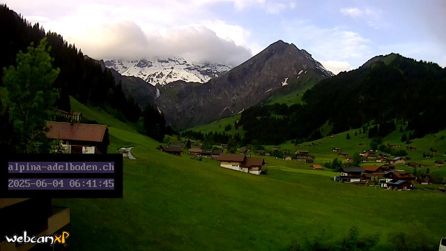 40h ago - 06:41