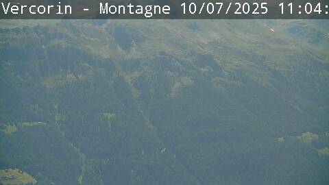 17h ago - 11:05