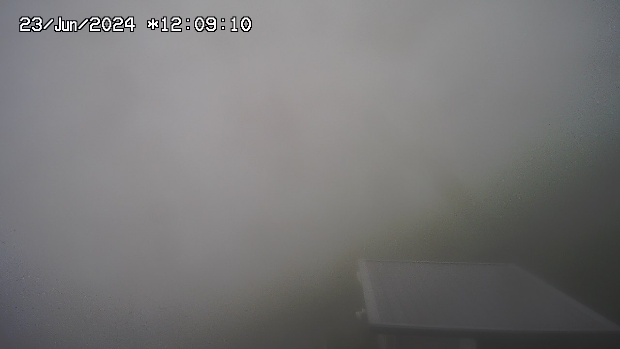 23.06.2024 12:01