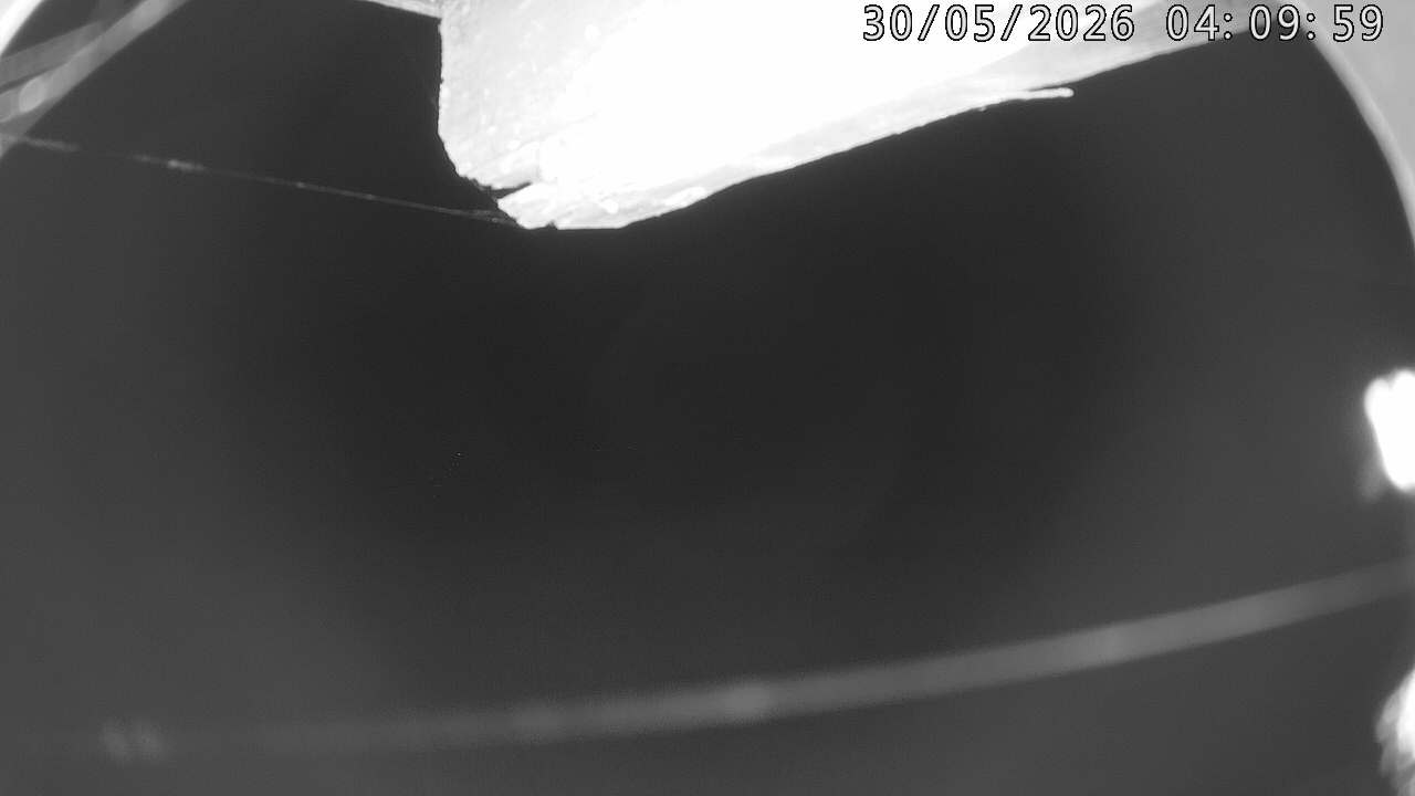 38h ago - 04:10