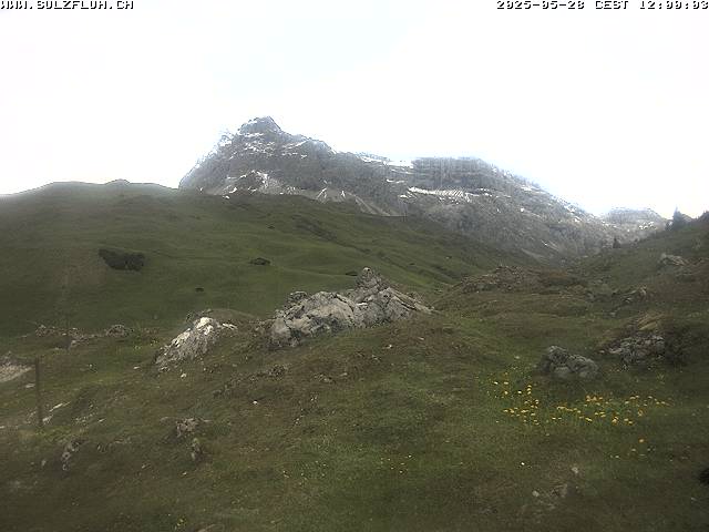 28.05.2025 12:00