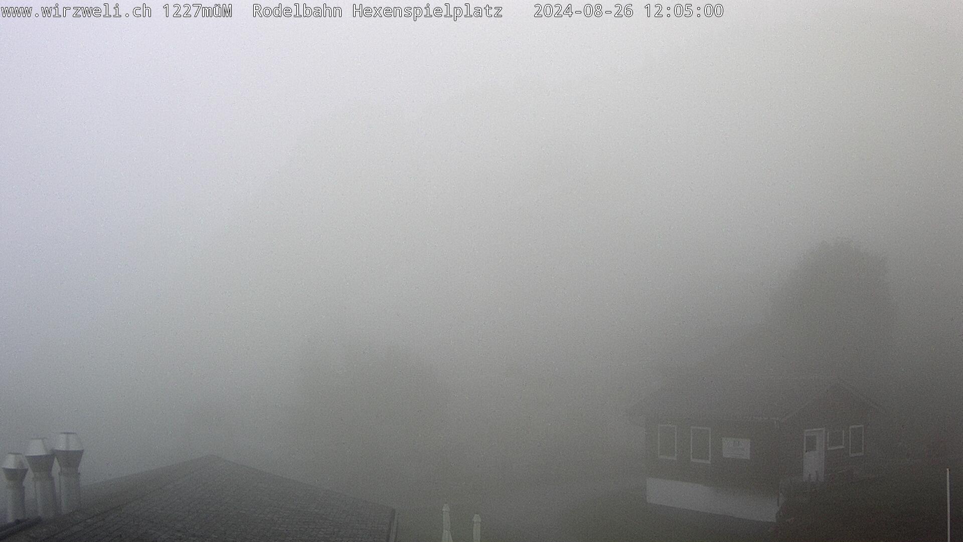26.08.2024 12:05