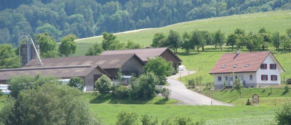 Hofladen Gehrenhof - 1