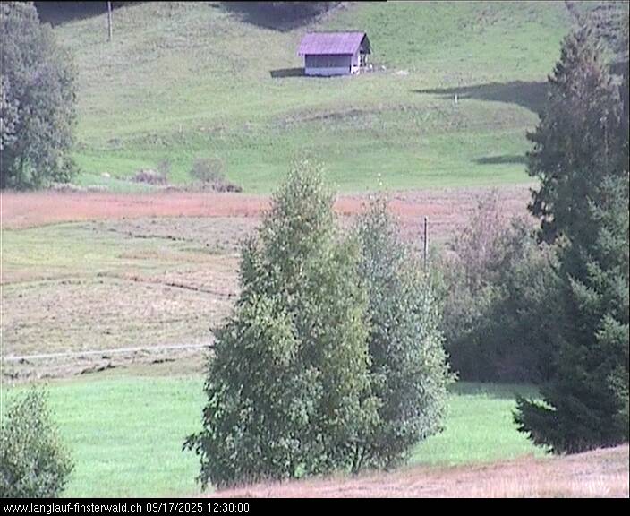 17.09.2025 12:10