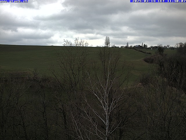 14.03.2025 12:07