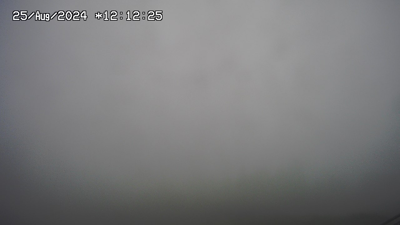 25.08.2024 12:01