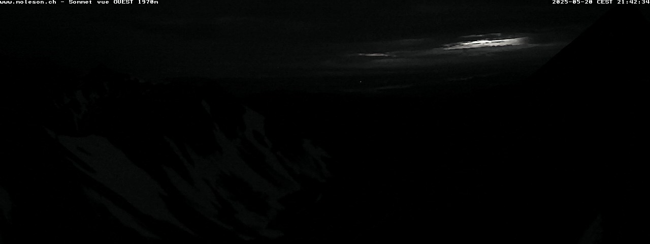 31h ago - 21:42