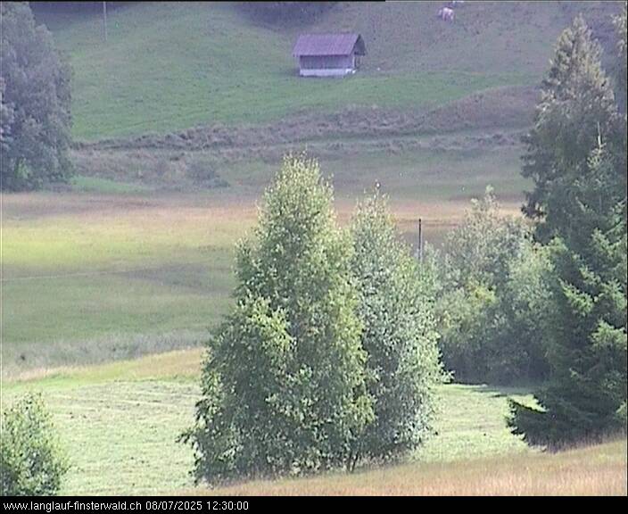 07.08.2025 12:10