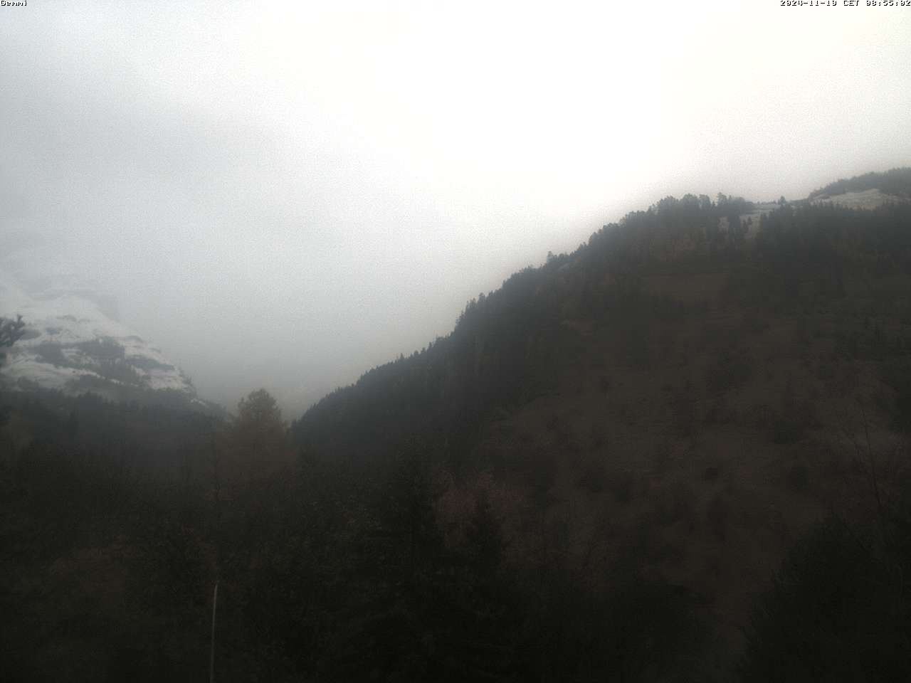 19.11.2024 12:01