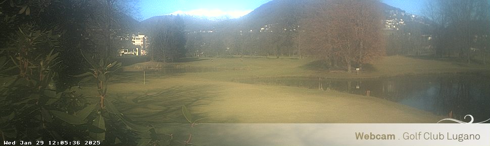 29.01.2025 12:05