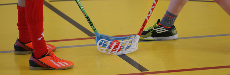 Unihockey-Plausch für Erwachsene - jeden Dienstagabend - 1