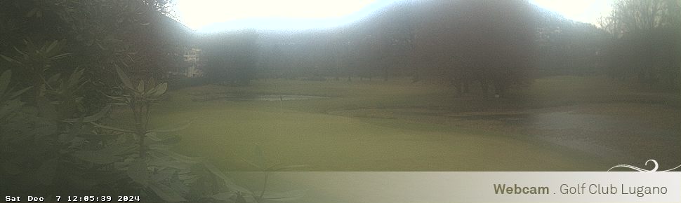 07.12.2024 12:06