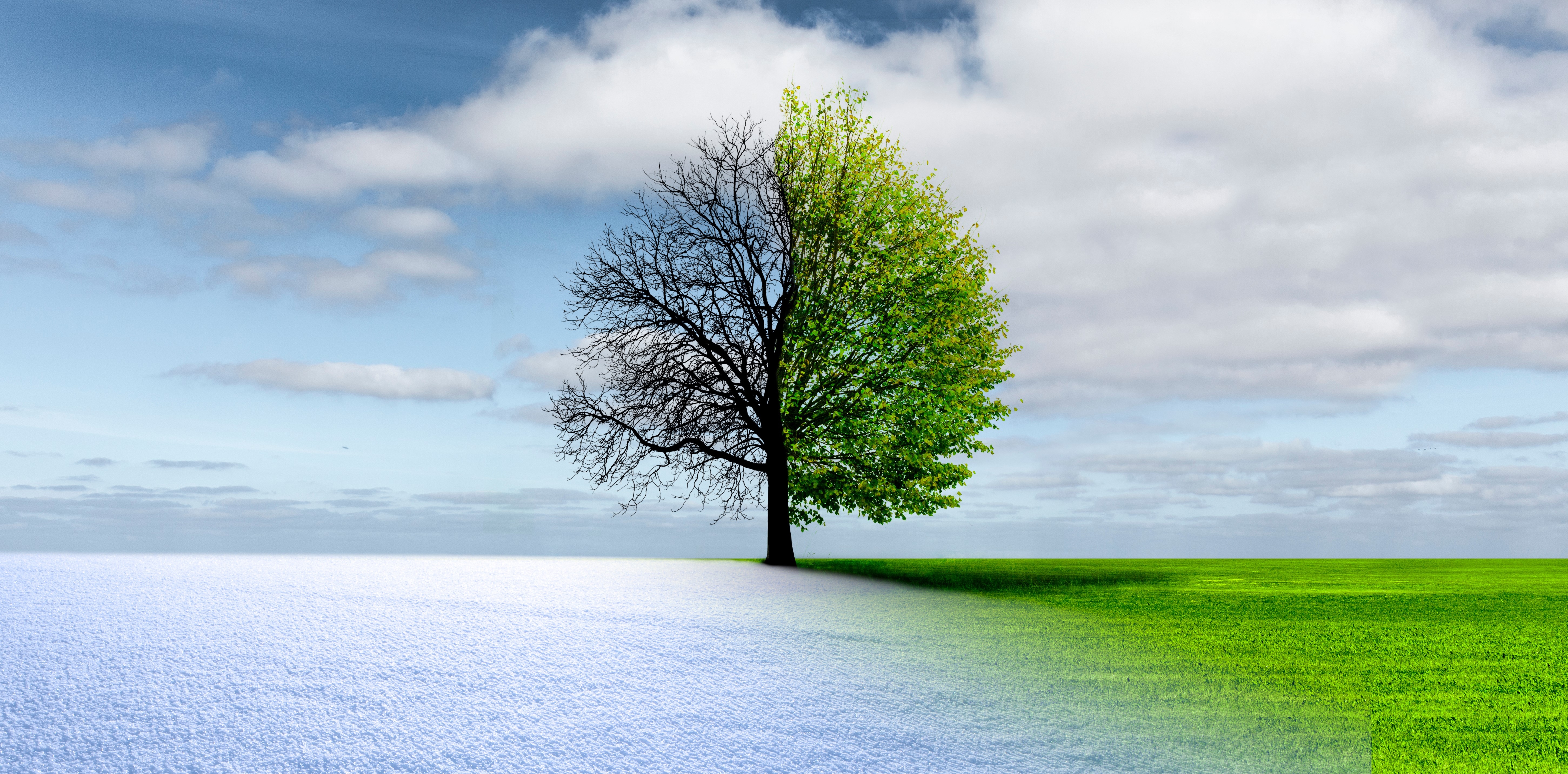 AVZO Neujahrs-Apéro