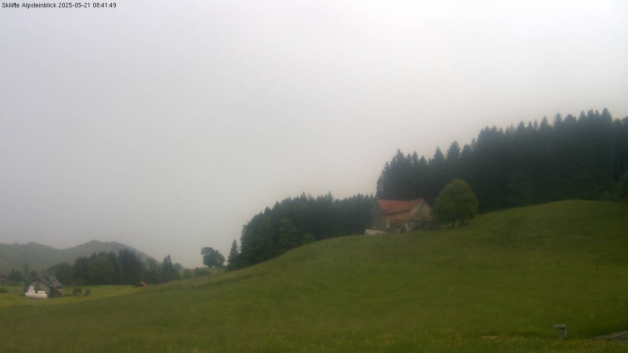 14h ago - 08:41