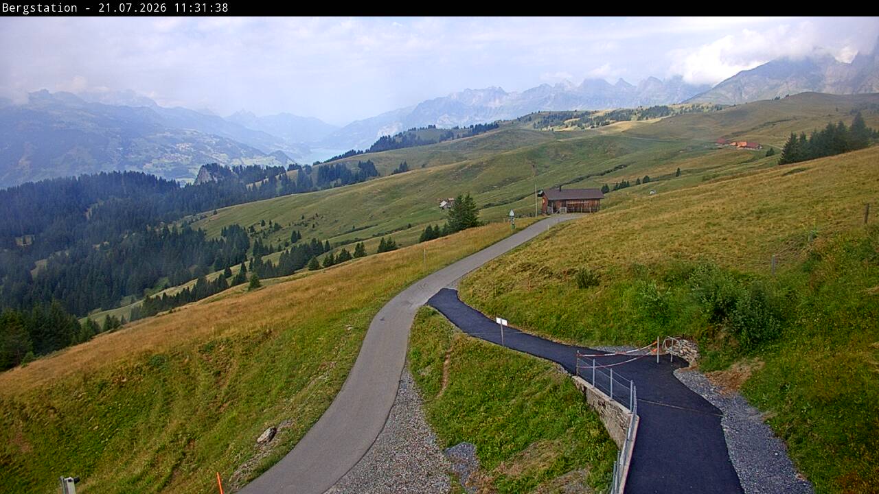 47h ago - 11:31