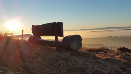 RenateAlbrecher_Niremont_FR_Blick-Richtung-Jura