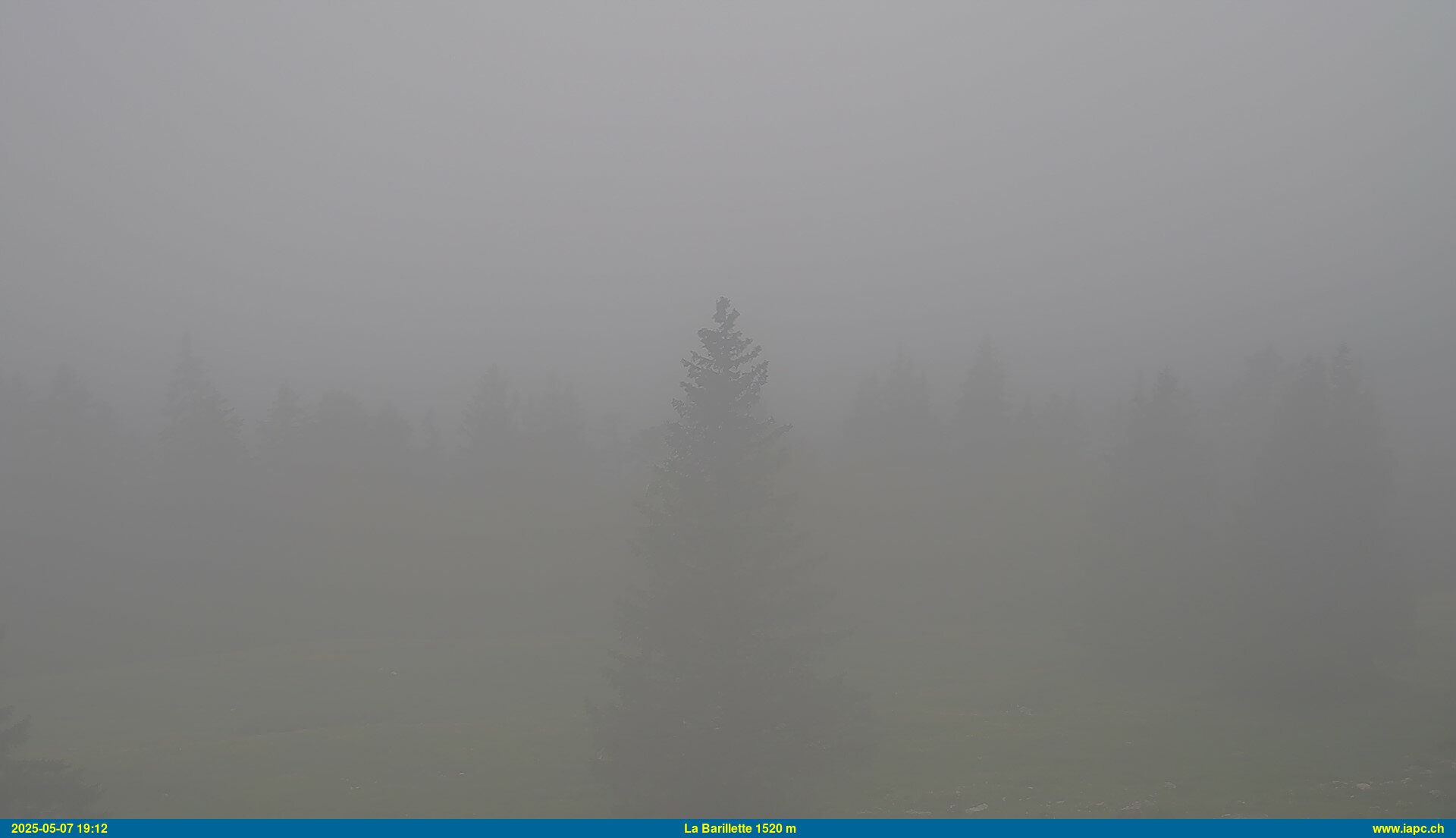 37h ago - 19:12