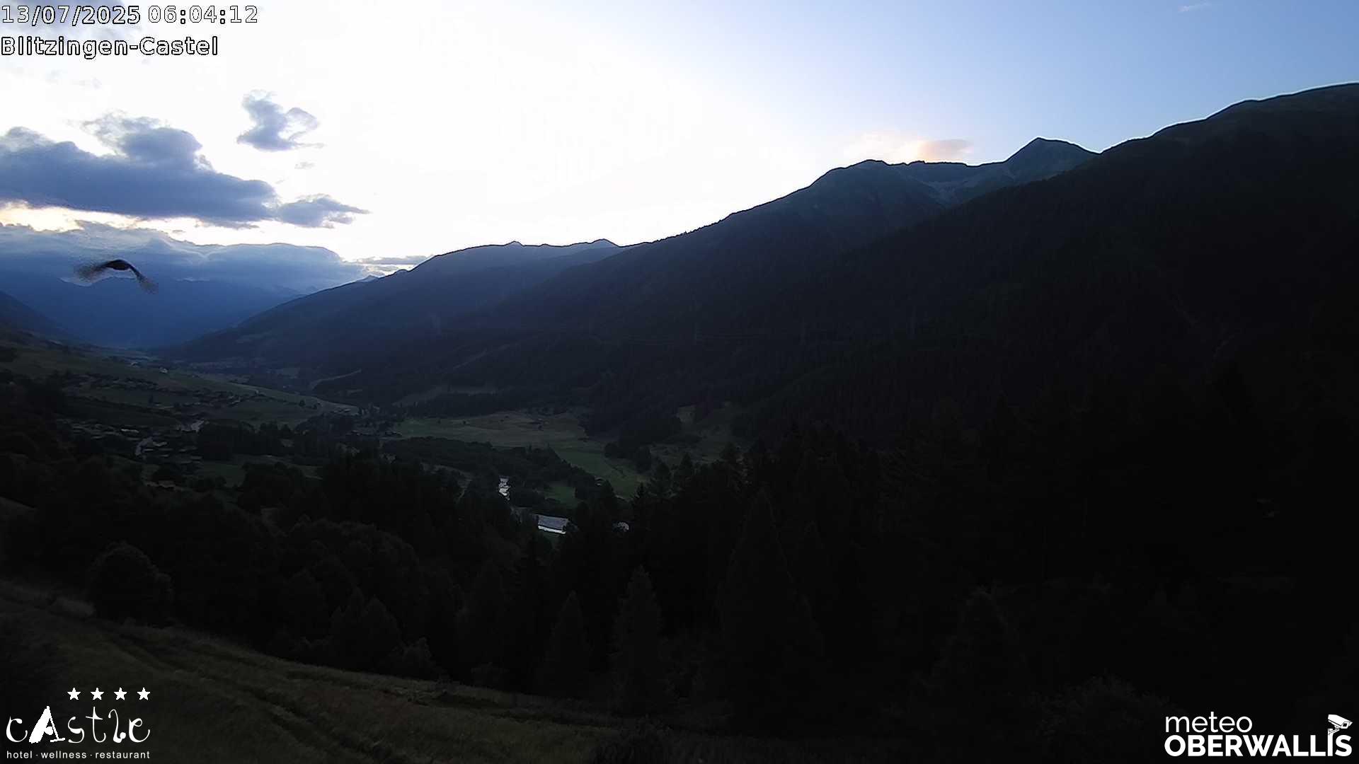 42h ago - 06:01