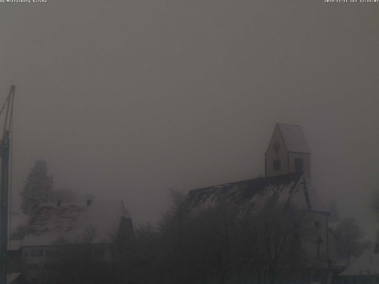 11.12.2024 12:17