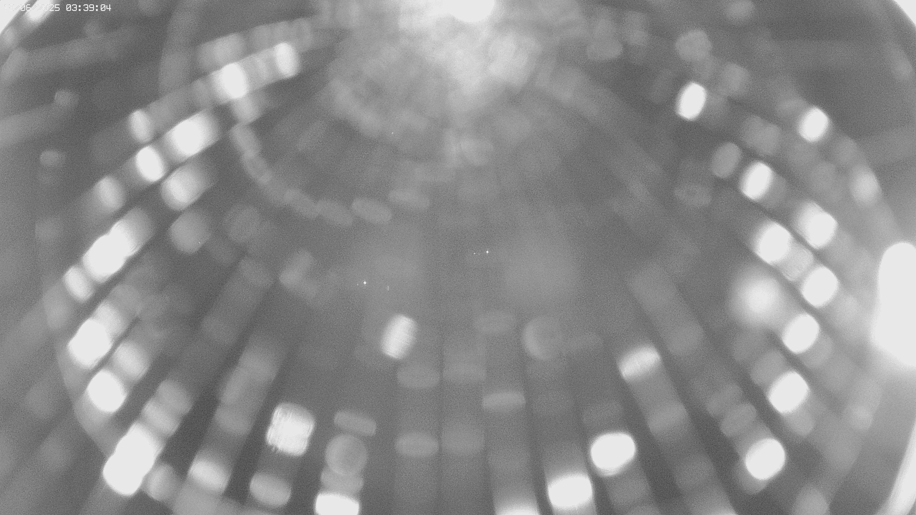 4h ago - 03:42