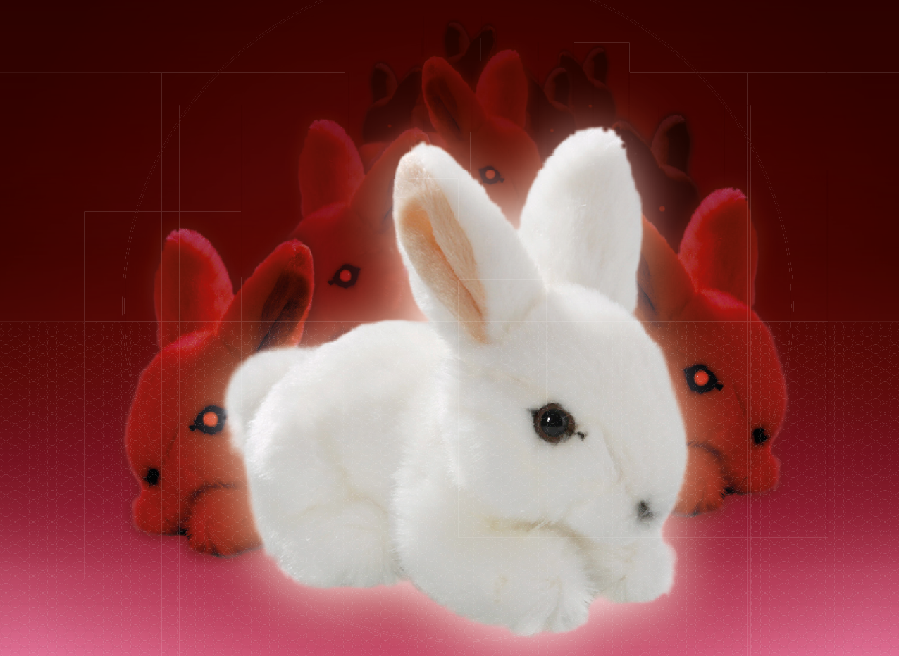 ANGST ODER HASE von Julia Haenni