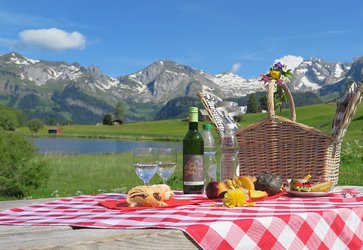 Picknick - entspannt und stilvoll - 1