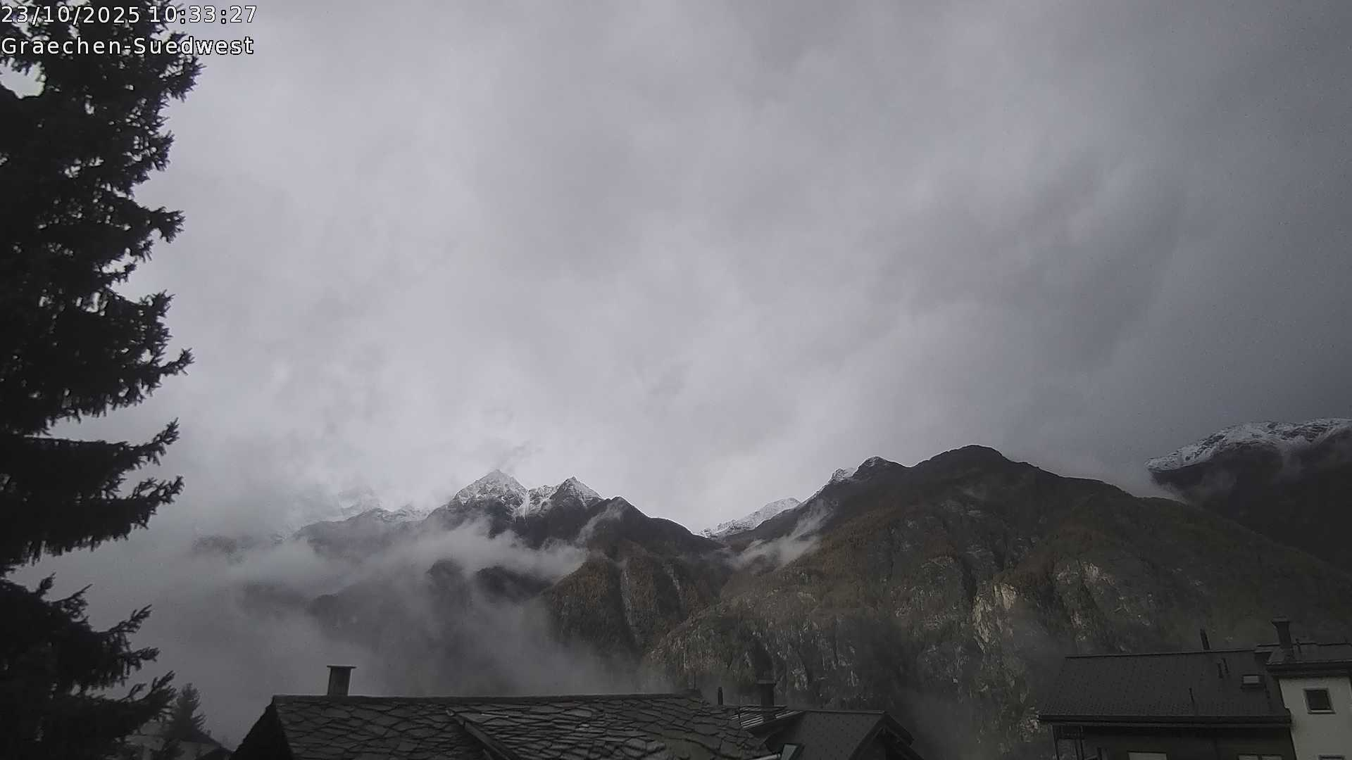 1h ago - 10:31