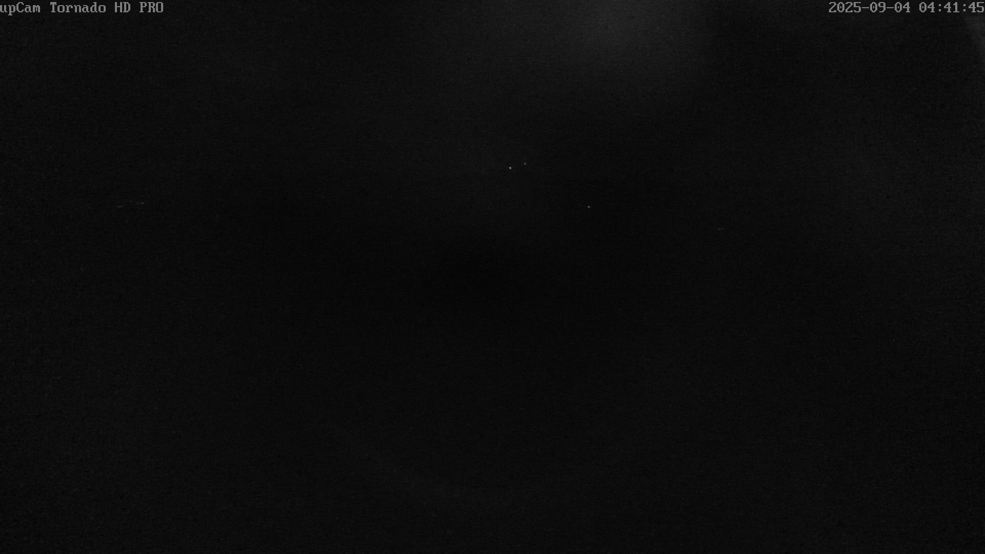 46h ago - 04:41